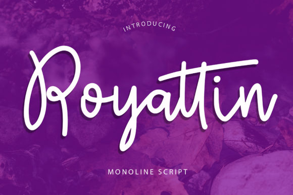 Royattin: A Handwritten Font for Web Design