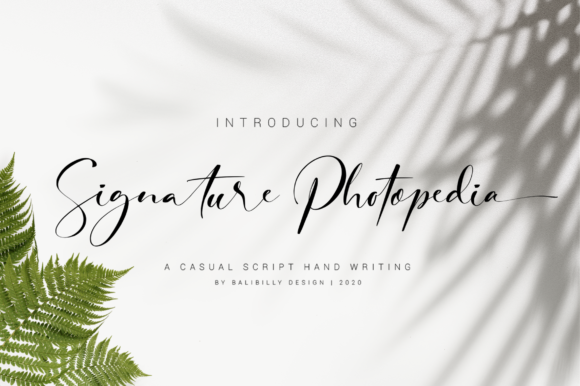 Signature Photopedia Font for Web Design